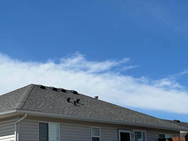 Best Roof Coating Services  in Erie, PA